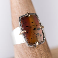 Siena Montana Agate in Silver & 14k Gold Ring, US Size 7