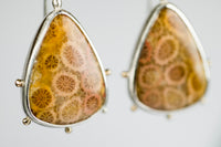 Mercury Fossil Coral Onyx Earrings in Silver & Gold