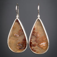 Leda Plume Agate Drop Earrings