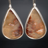 Leda Plume Agate Drop Earrings