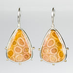 Mercury Fossil Coral Onyx Earrings in Silver & Gold
